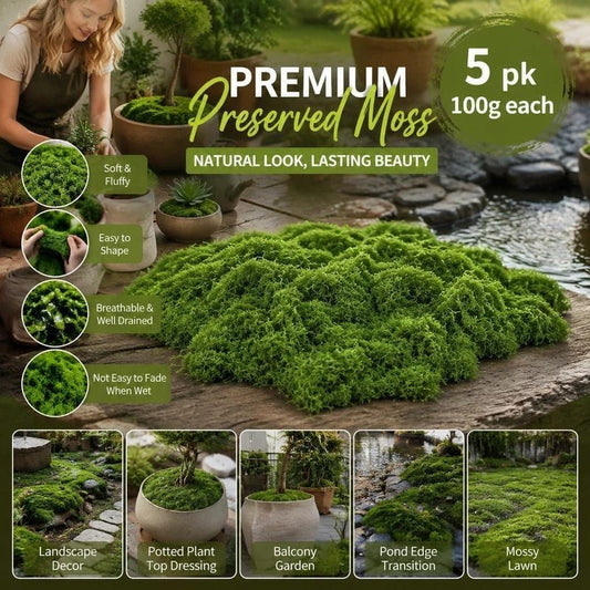 Preserved String Moss Dark Green 5-Pack | HomeAndLiving