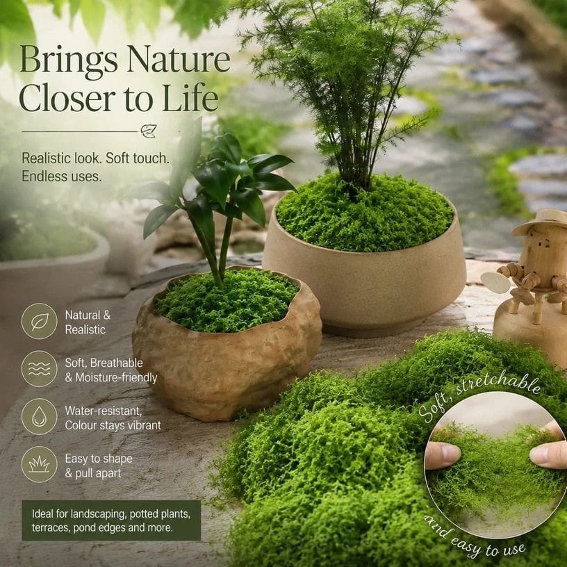 Preserved String Moss Dark Green 5-Pack | HomeAndLiving - 2