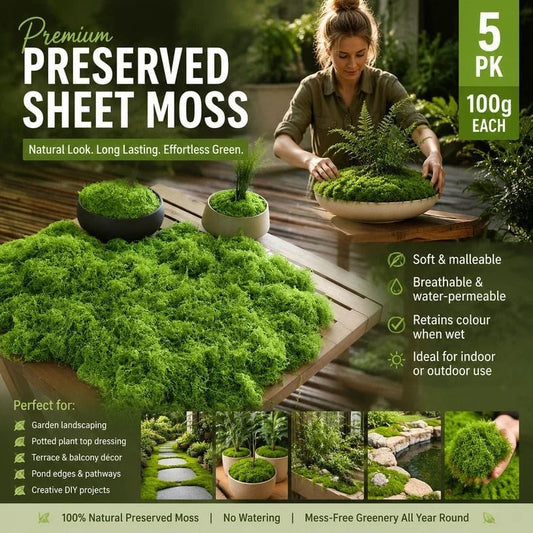 Moss Bonsai Top Dressing 5 Pack | HomeAndLiving