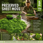Faux Moss Bonsai Top Dressing 5 Pack | HomeAndLiving