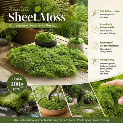 Preserved Moss Terrarium Decor 4 Bags | HomeAndLiving