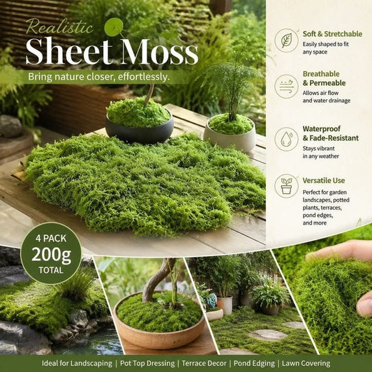 Preserved Moss Terrarium Decor 4 Bags | HomeAndLiving