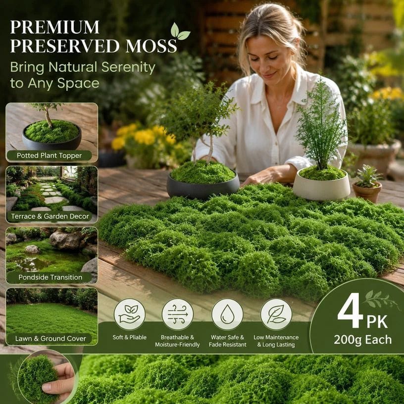 String Moss Pot Cover 4 Pack Dark Green | HomeAndLiving