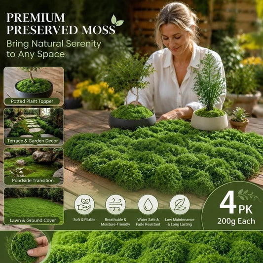 String Moss Pot Cover 4 Pack Dark Green | HomeAndLiving