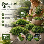 Artificial Thread Moss Terrarium 7 Pack | HomeAndLiving