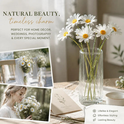 Artificial Chamomile Daisy Stems 60 Pack | HomeAndLiving - 2