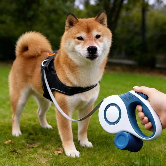 Retractable Dog Leash 3m One-Click Lock | HomeAndLiving