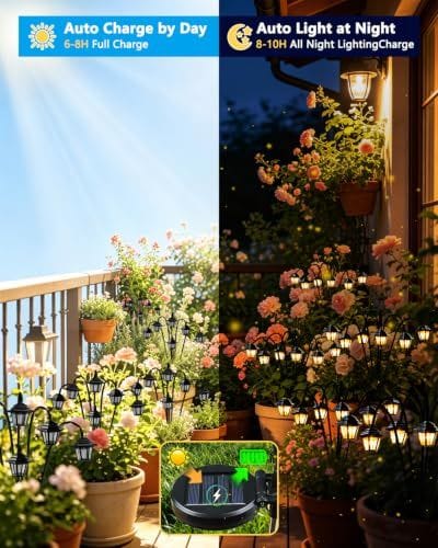 Solar Pathway Lights Warm White