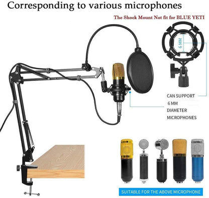 Broadcasting Microphone Stand: Screw Adapter, Windscreen Filter