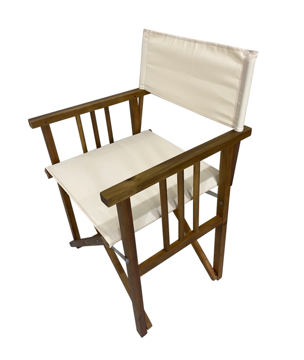  Directors Chair