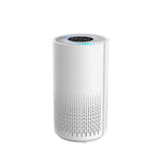 Air Purifier And Cleaner With Hepa Filter, Timer