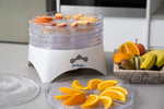 Digital Food Dehydrator/ Dryer/ Preserver W/ 2 Power Level