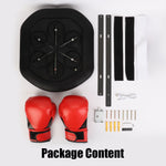 Electronic Boxing Wall Target Glove With Music Training
