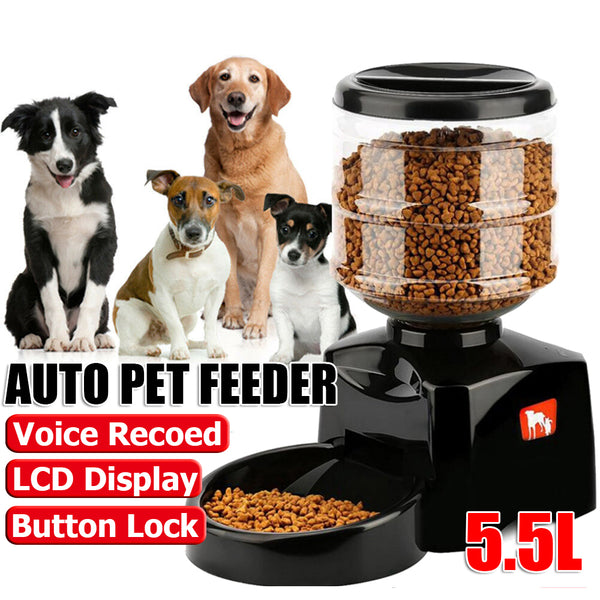  Automatic Pet Feeder Self Feeding Meal Bottle