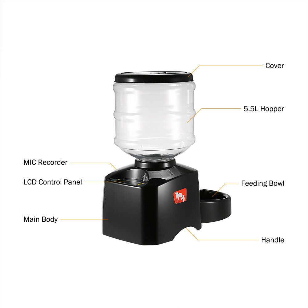 Pet Feeder: Automatic Dispenser For Cats & Dogs