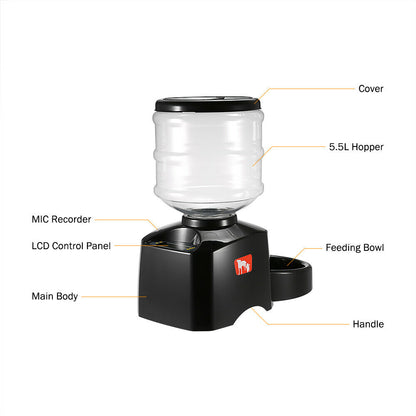 Pet Feeder: Automatic Dispenser For Cats & Dogs