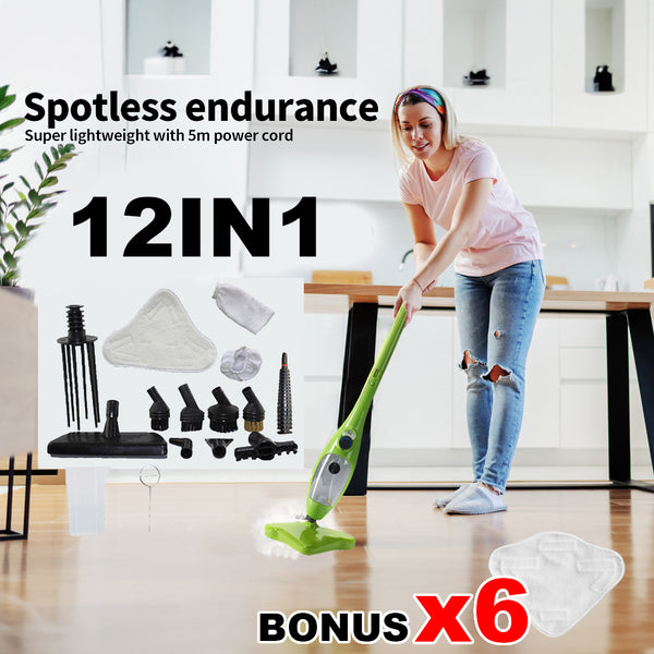  Handheld Steam Mop Carpet Cleaner