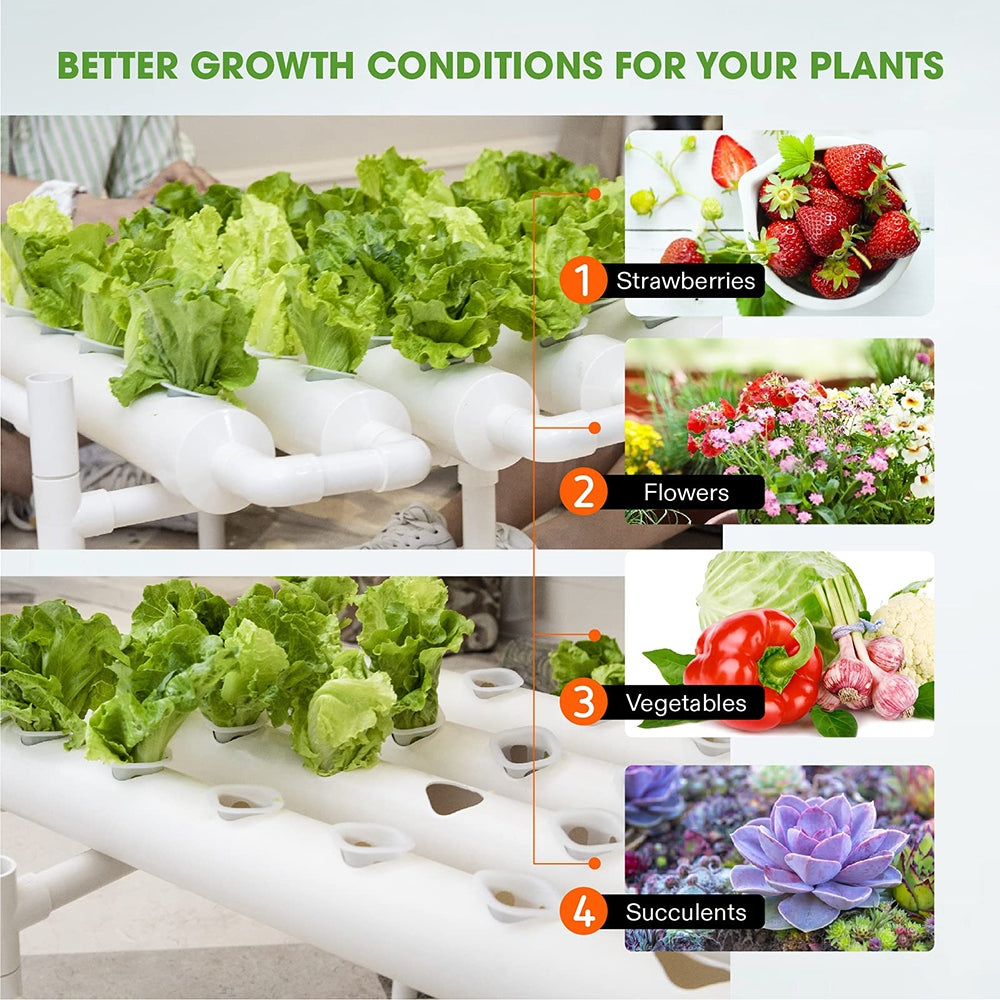 Hydroponic Grow Tool Kit: Efficient Vegetable Garden System