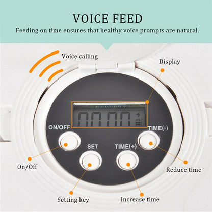 Auto LCD Digital Pet Feeder: Cat & Dog 6-Meal Dispenser