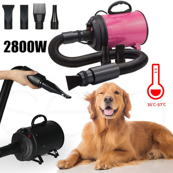  2800W High Pet Dog Dryer With Adjustable Speed