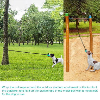 Portable Dog Tie-Out Stick Set Outdoor Interactive Tug Of  War Toy