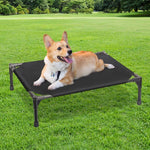 Elevated Pet Bed (Xl Black)