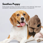 Pets Soft Plush Toy(Brown)