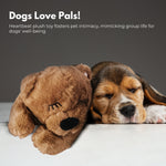 Pets Soft Plush Toy(Brown)
