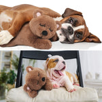 Pets Soft Plush Toy(Brown)