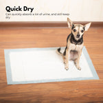 Pet Disposable Pad 50Pcs Pack