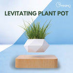 Magnetic Levitating Plant Pot (Light Brown Base)