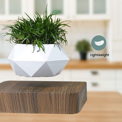 Magnetic Levitating Plant Pot Dark Brown Base