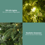 1.2M/1.8M Prelit Everglow Fir Christmas Tree With 150 Led Lights