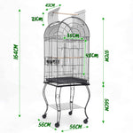 Bird Cage Parrot Aviary Soprano 164Cm