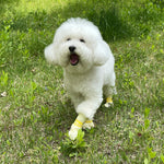 28Pc X Dog Shoes Waterproof Disposable Boots Anti-Slip Pet Socks M Pink