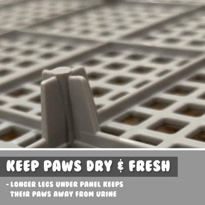 Grey Dog Potty Tray Training Toilet with Raised Walls