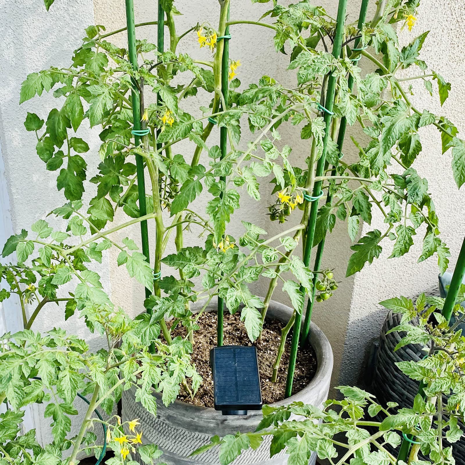 Steel Stakes For Garden Plant Support (11Mm X 180Cm)