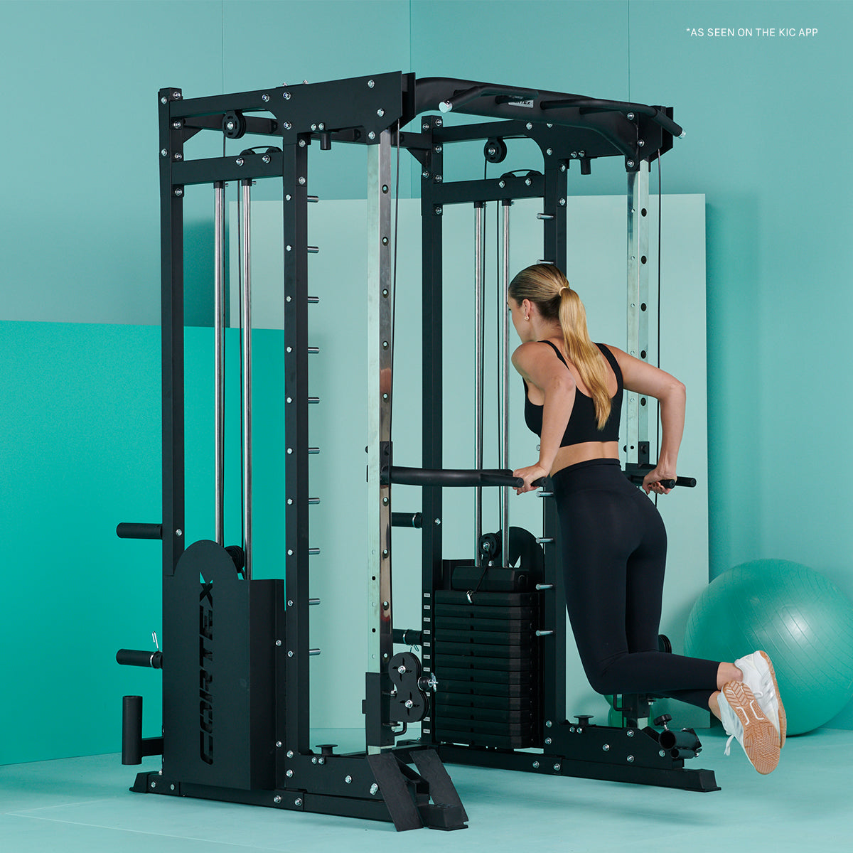 25 Multi Gym - Dual Stack Trainer, Smith Machine, Half Rack