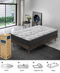 Easeful Eco Spay Foam Pocket Spring 20Cm Single Hybrid Mattress