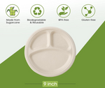Disposable Sugarcane Bagasse 3-Compartment Paper Plates Eco 23Cm (9