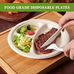 Disposable Sugarcane Bagasse 3-Compartment Paper Plates Eco 23Cm (9