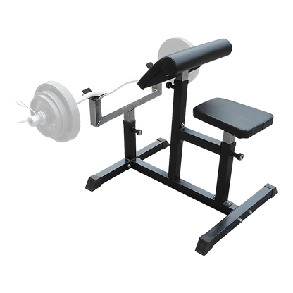 Commercial Preacher Curl Bench - Bicep Trainer