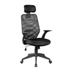 Ergonomic Mesh Office Chair