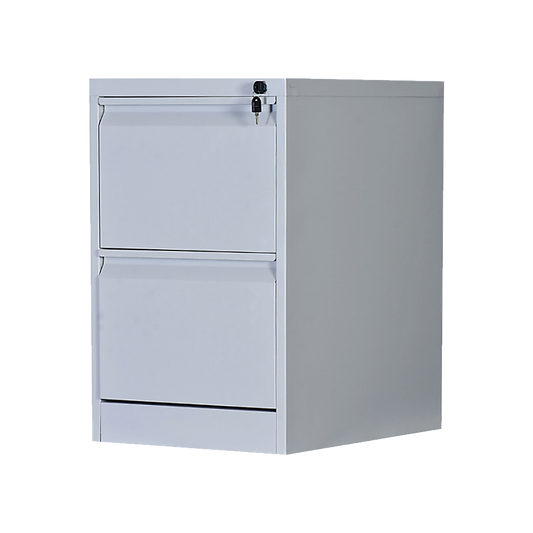 2-Drawer Shelf Office Gym Filing Storage Locker Cabinet
