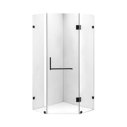 Frameless 10Mm Glass Shower Screen