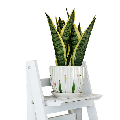 5 Tier Wooden Ladder Shelf Stand Storage Book Shelves Shelving