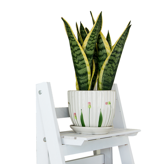 5 Tier Wooden Ladder Shelf Stand Storage Book Shelves Shelving