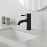 Basin Mixer Tap Faucet -Laundry Bathroom Sink