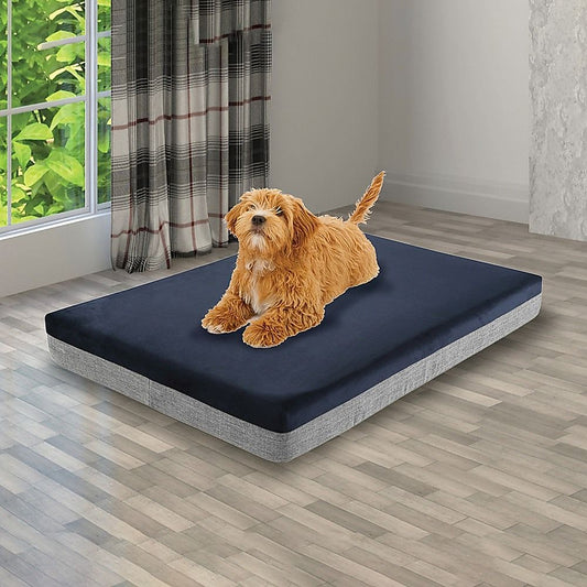 Memory Foam Orthopedic Dog Bed