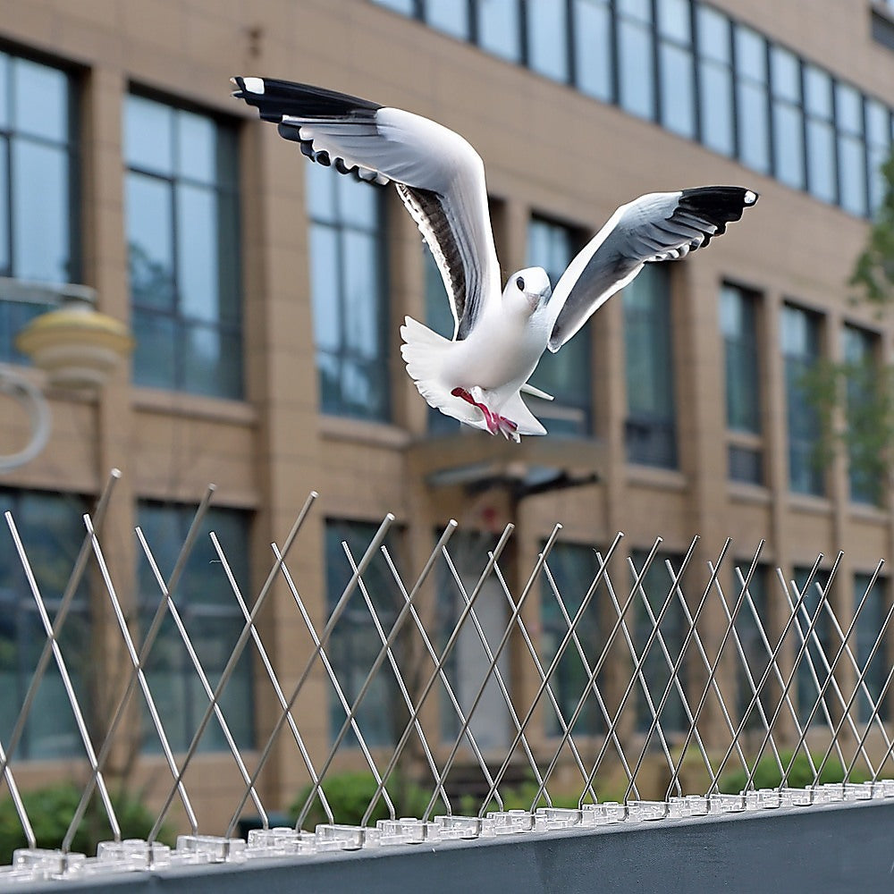 20X 50Cm Bird Spike S304 Wire Spikes Eaves Pigeon Gull Starling 10M